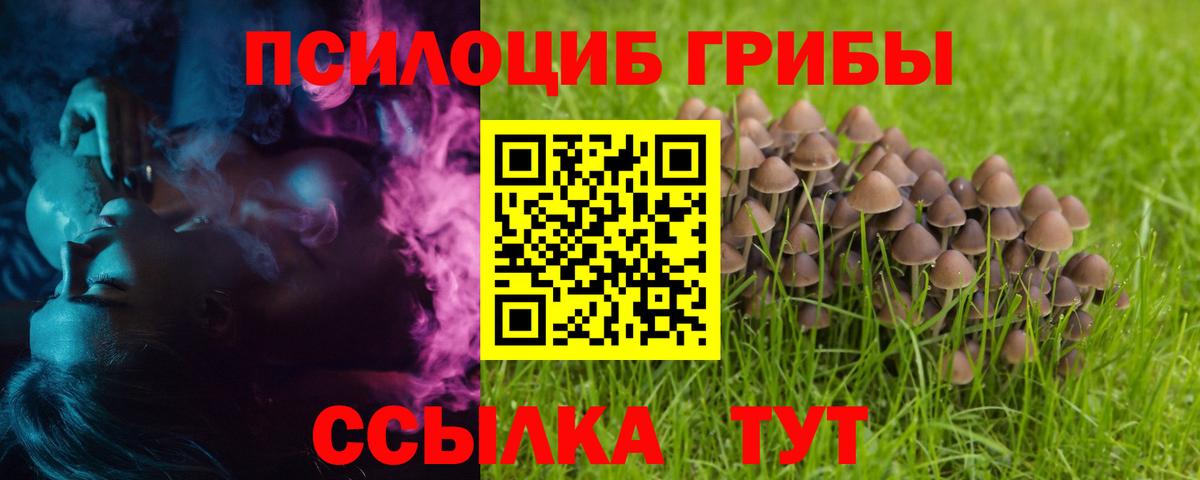 Галлюциногенные грибы Magic Shrooms Химки